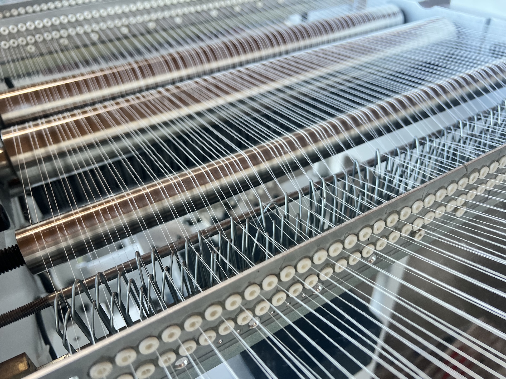 Zwiebeln im Naturnetz