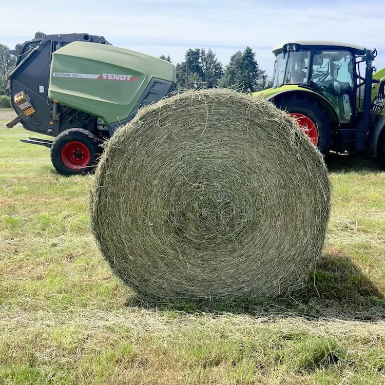 NATURNETZ round_bales_plastic-free_–made_from_100__cotton.jpeg